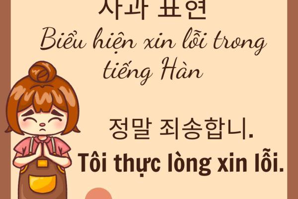 Biểu hiện xin lỗi